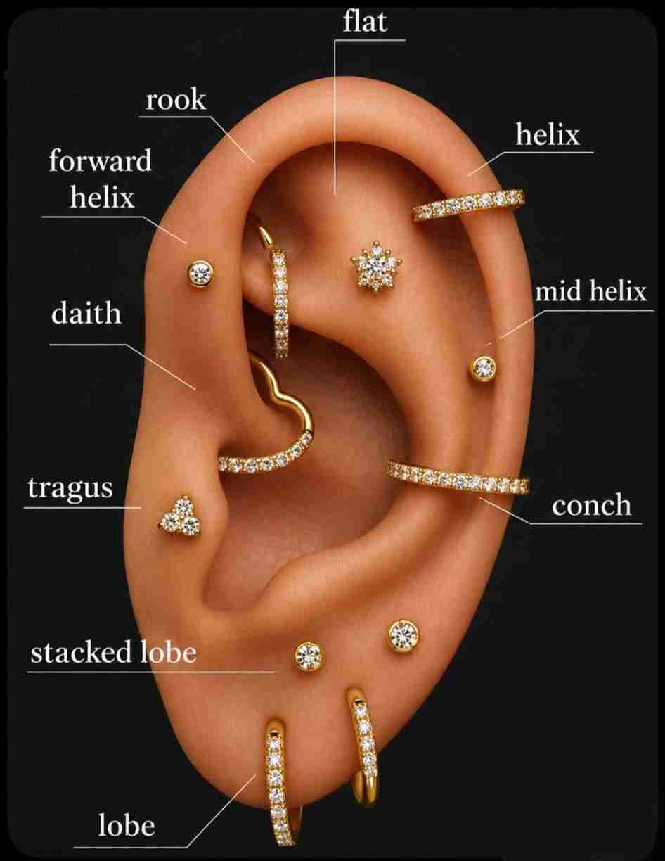 Kulak piercing bölgeleri: helix, rook, daith, tragus, conch, lobe ve diğerleri